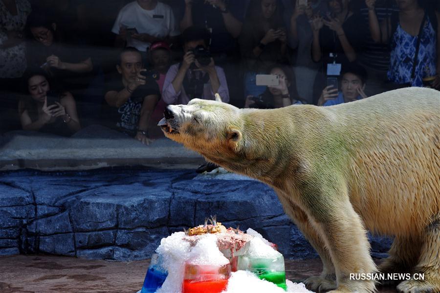 В Сингапуре отметили день рожденья белого медведя