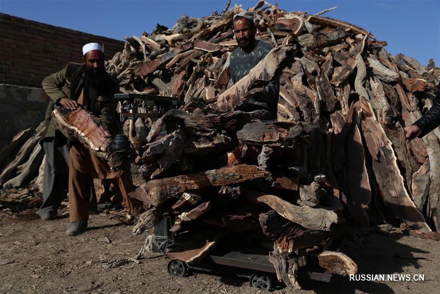 Афганцы заготавливают дрова на зиму