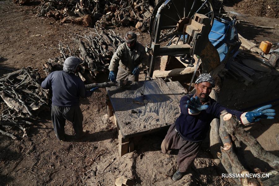 Афганцы заготавливают дрова на зиму