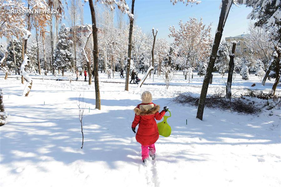 Ташкент после снегопада