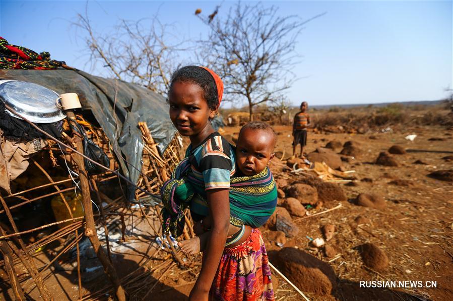 От засухи в Кении пострадали более 1 млн детей