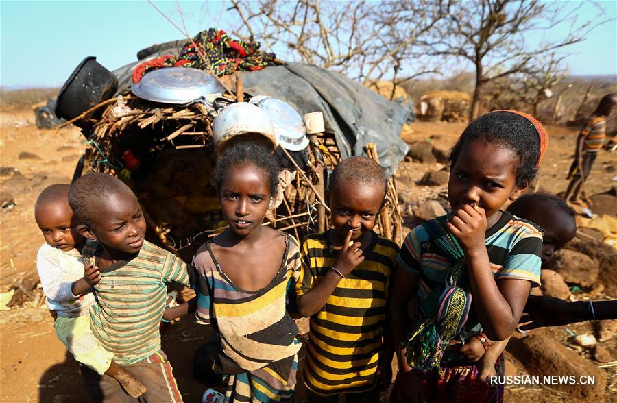 От засухи в Кении пострадали более 1 млн детей