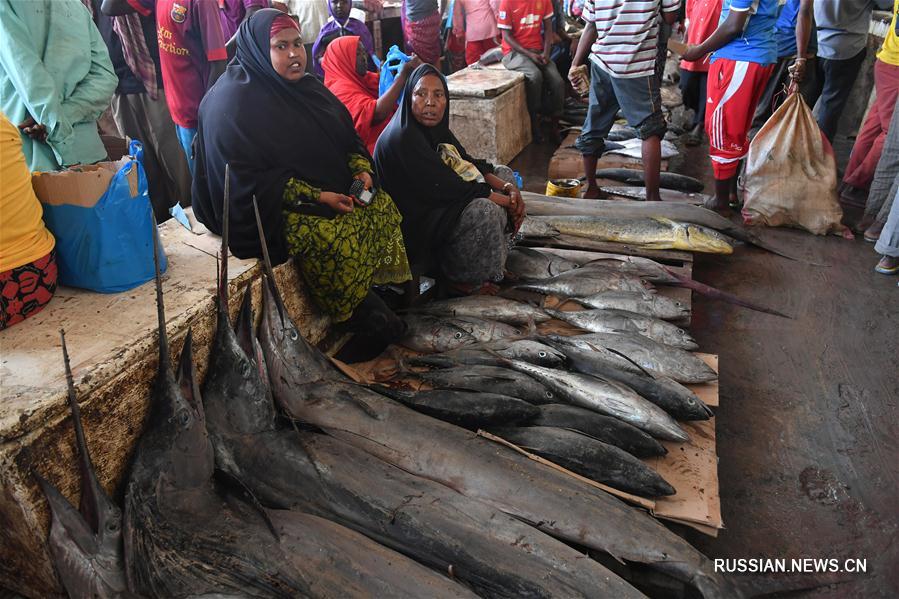 Рыбный рынок в Могадишо