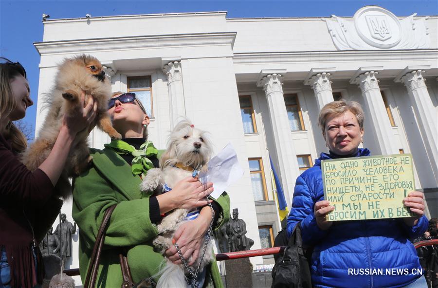 Верховная рада Украины вводит уголовную ответственность за жестокое обращение с животными