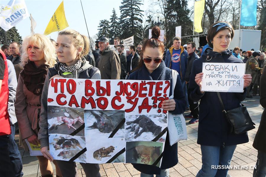 Верховная рада Украины вводит уголовную ответственность за жестокое обращение с животными