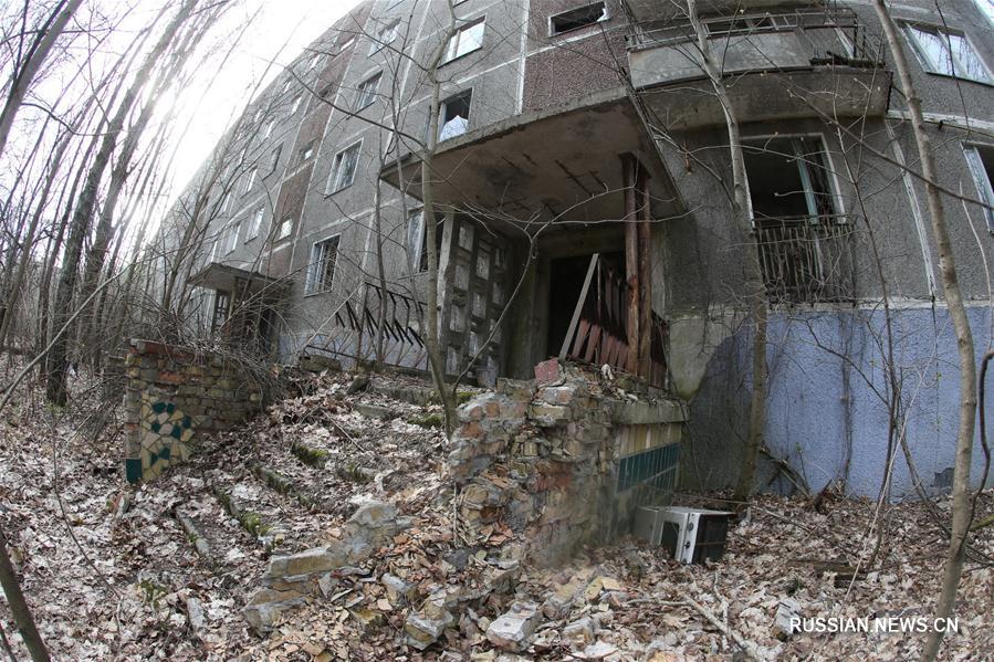 В зоне отчуждения Чернобыльской АЭС открыли заповедник