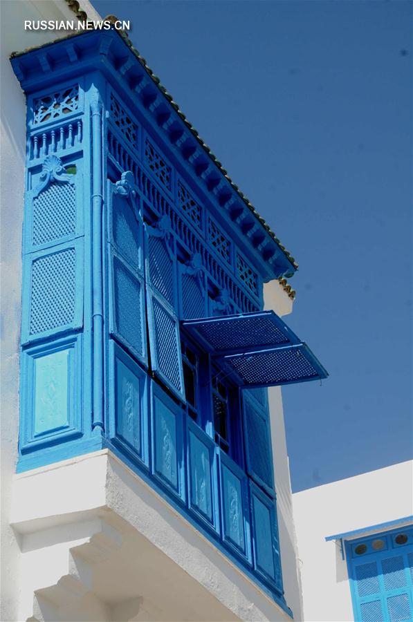 （一带一路·好风光）（3）突尼斯的“蓝白小镇”