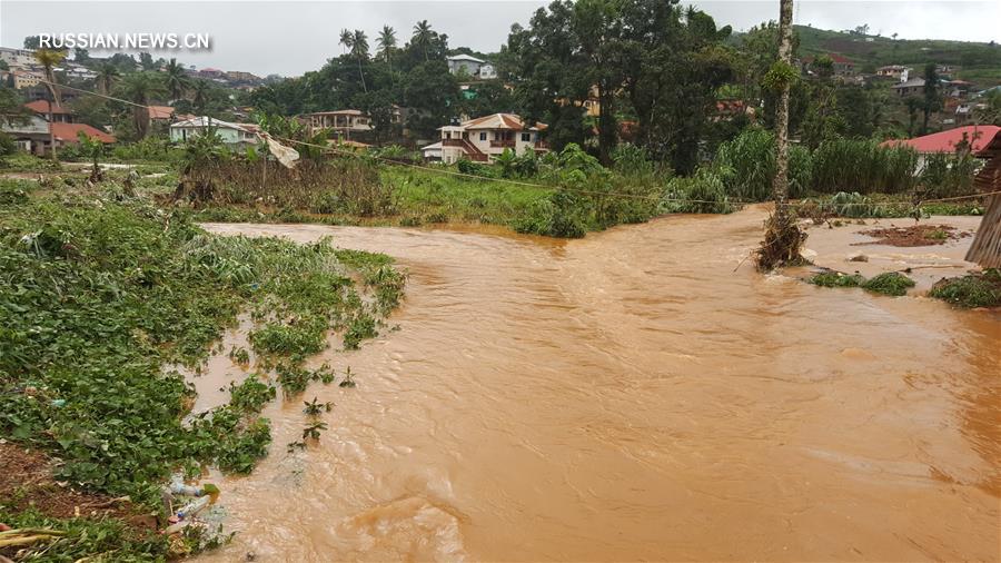 До 300 человек увеличилось число жертв наводнения и селевых потоков в столице Сьерра- Леоне 