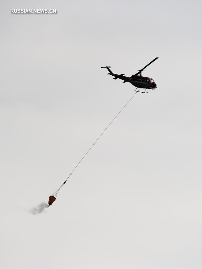 Пожар в Калифорнии распространяется, 15 человек погибли