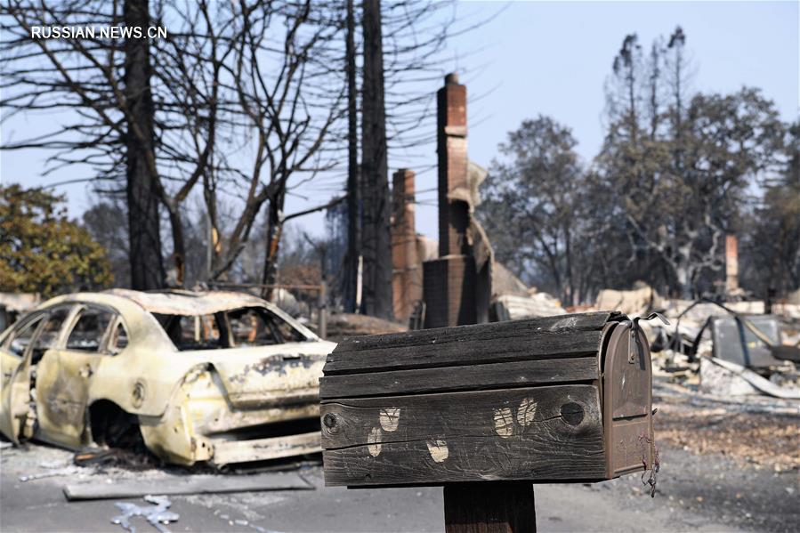 Лесные пожары в американском штате Калифорния уже унесли жизни 40 человек 