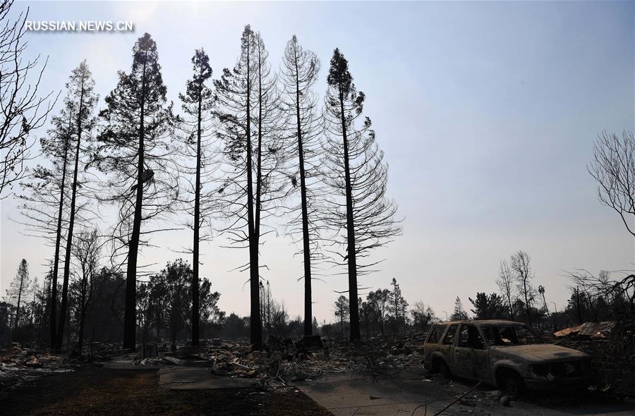 Лесные пожары в американском штате Калифорния уже унесли жизни 40 человек 