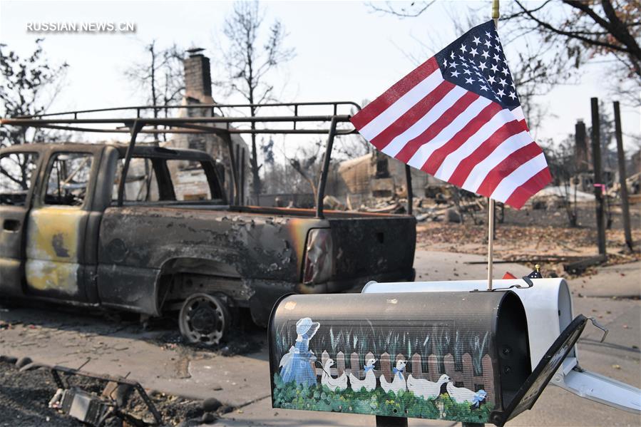 Лесные пожары в американском штате Калифорния уже унесли жизни 40 человек 