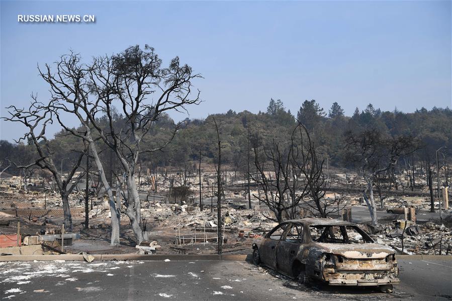 Лесные пожары в американском штате Калифорния уже унесли жизни 40 человек 
