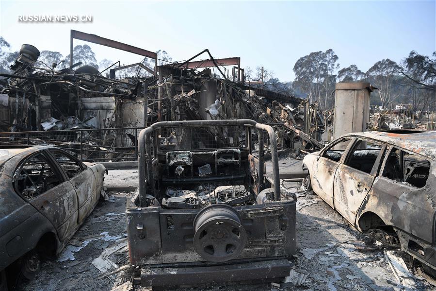 Лесные пожары в американском штате Калифорния уже унесли жизни 40 человек 