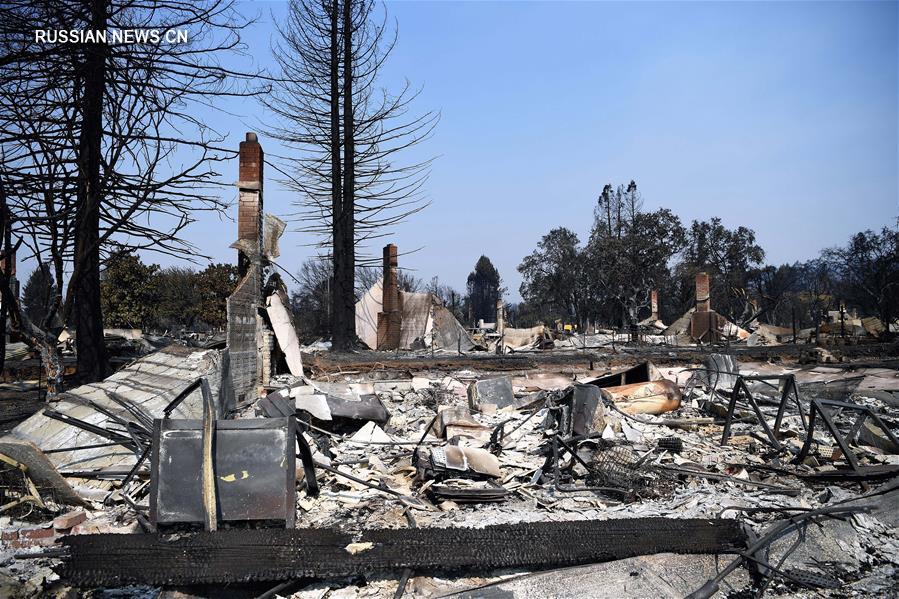 Лесные пожары в американском штате Калифорния уже унесли жизни 40 человек 