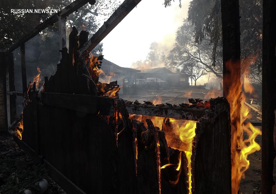 Власти Калифорнии объявили ЧП в связи с лесным пожаром
