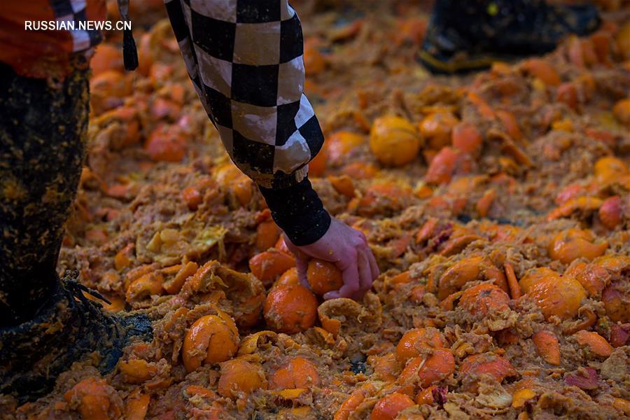 Битва апельсинов в Италии