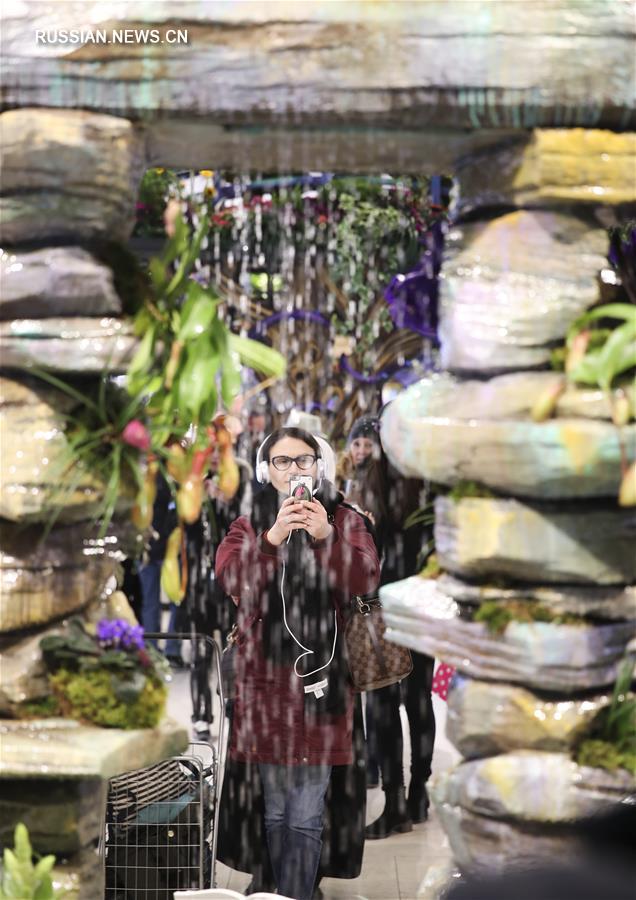 Ежегодная выставка цветов Macy's Flower Show в Нью-Йорке