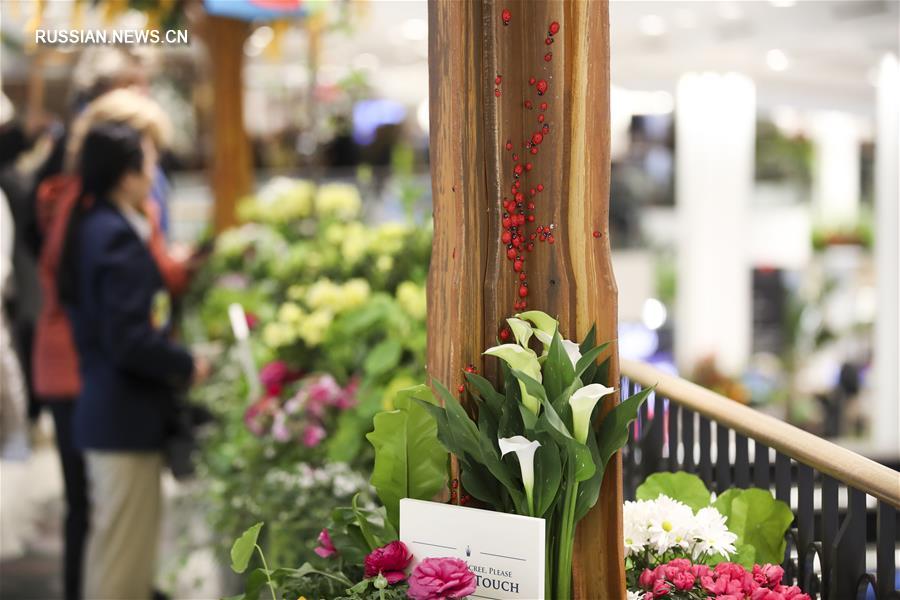 Ежегодная выставка цветов Macy's Flower Show в Нью-Йорке
