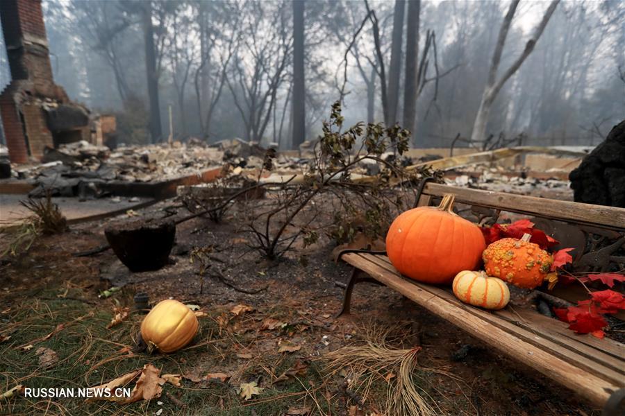Число жертв лесного пожара в Калифорнии достигло 56 человек 