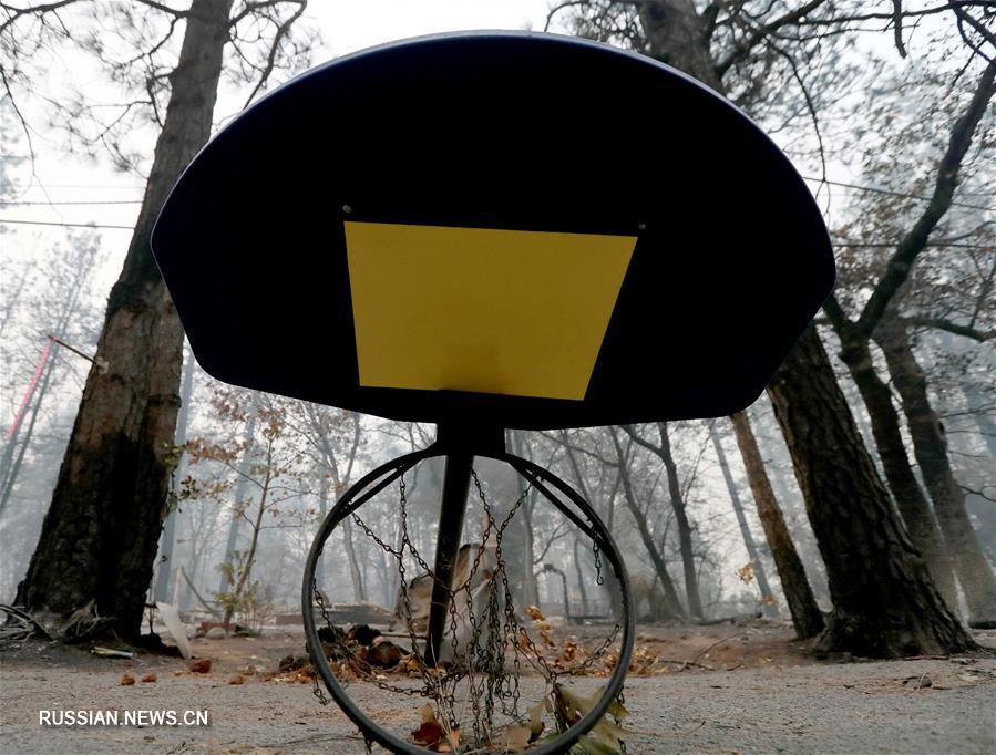 Число жертв лесного пожара в Калифорнии достигло 56 человек 