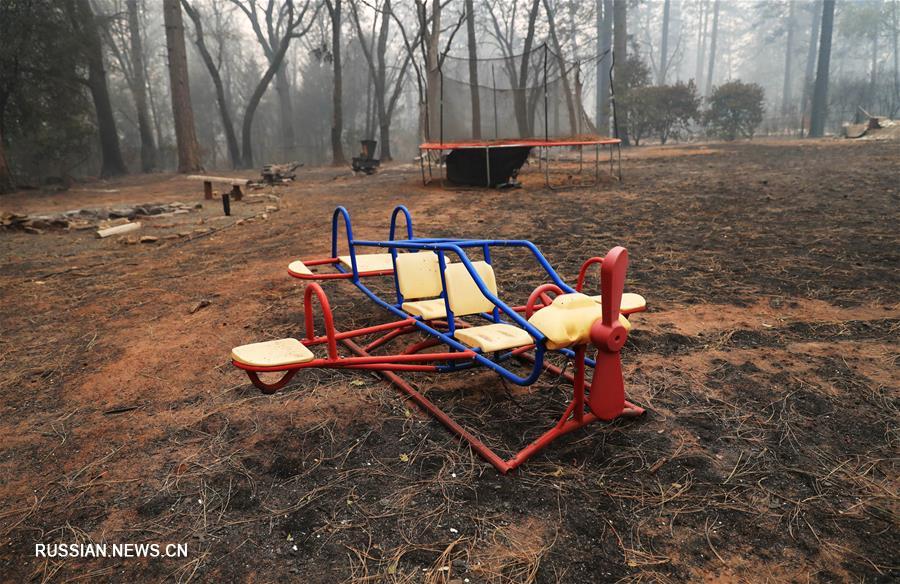 Число жертв лесного пожара в Калифорнии достигло 56 человек 