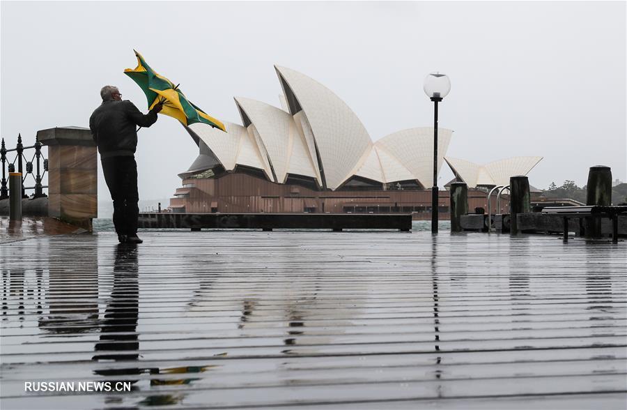 Проливной дождь обрушился на Сидней