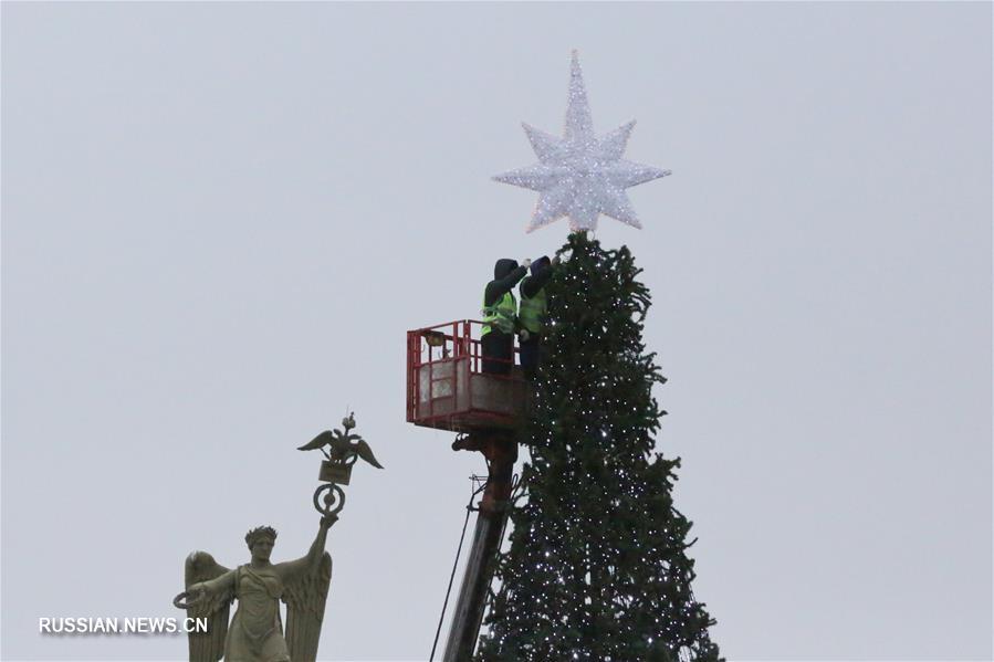 В Петербурге поставили главную городскую новогоднюю елку 