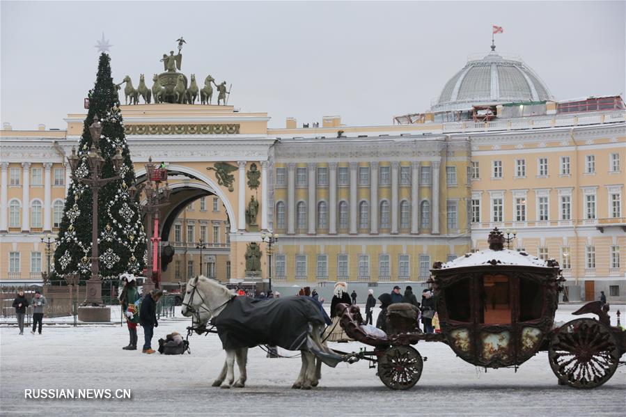 В Петербурге поставили главную городскую новогоднюю елку 