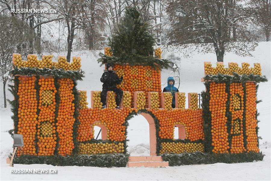 В Киеве открылся фестиваль "Цитрусовое королевство"