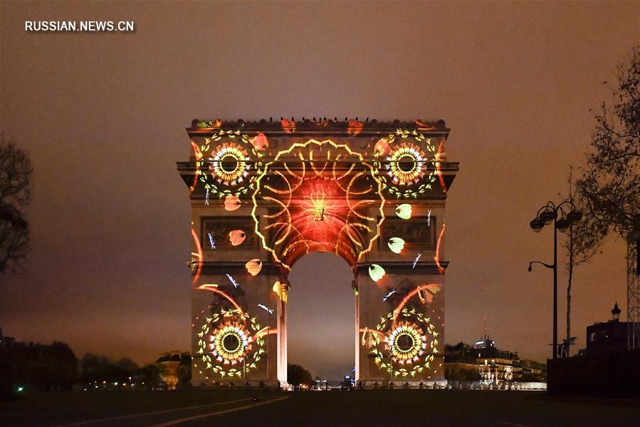 Новогоднее световое шоу в Париже 