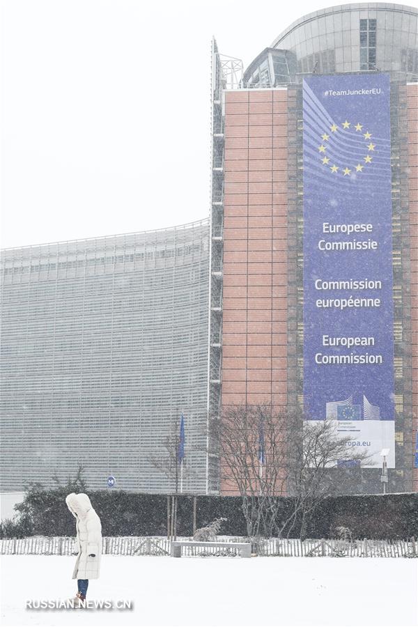 Первый в 2019 году снег в Брюсселе