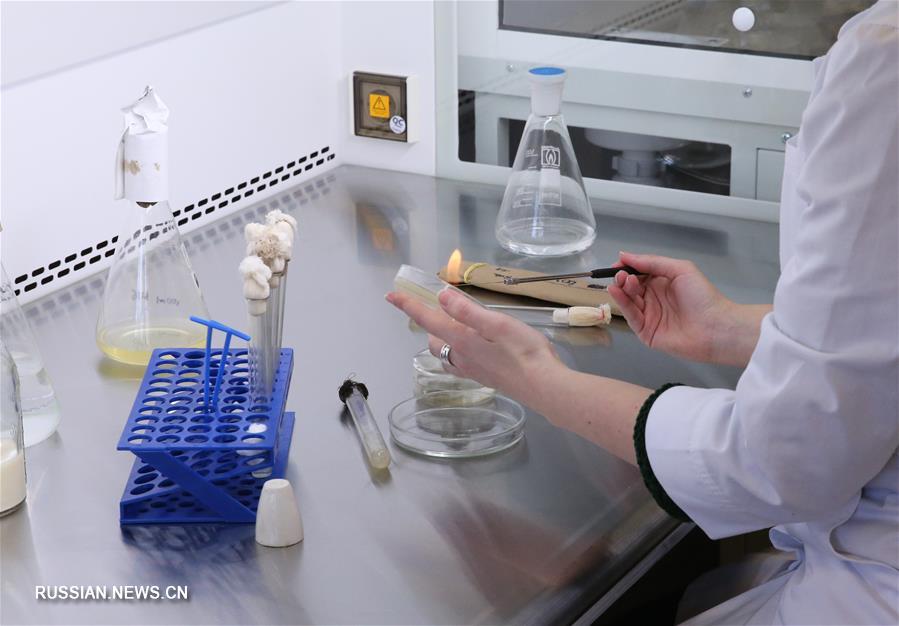 Первый пусковой комплекс НПЦ Биотехнологий открылся в Институте микробиологии в Минске