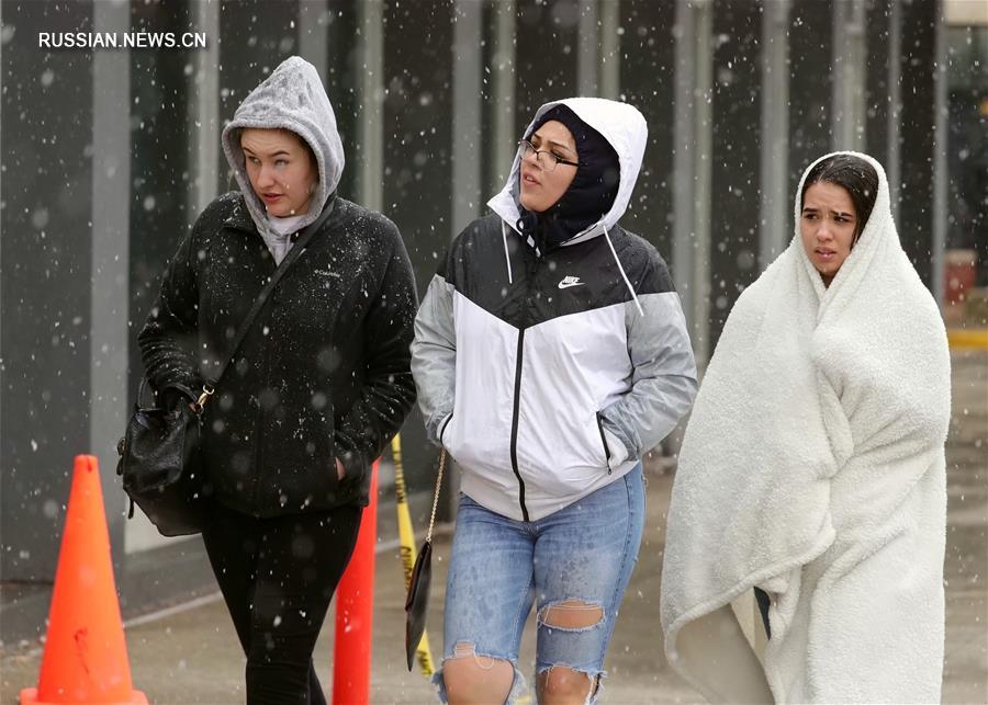 Апрельский снегопад в Чикаго