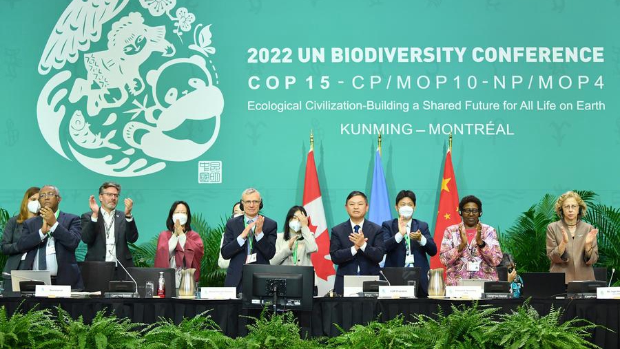 Китай на COP28 выступил с инициативой в поддержку реализации Куньмин-Монреальской глобальной рамочной программы в области биоразнообразия