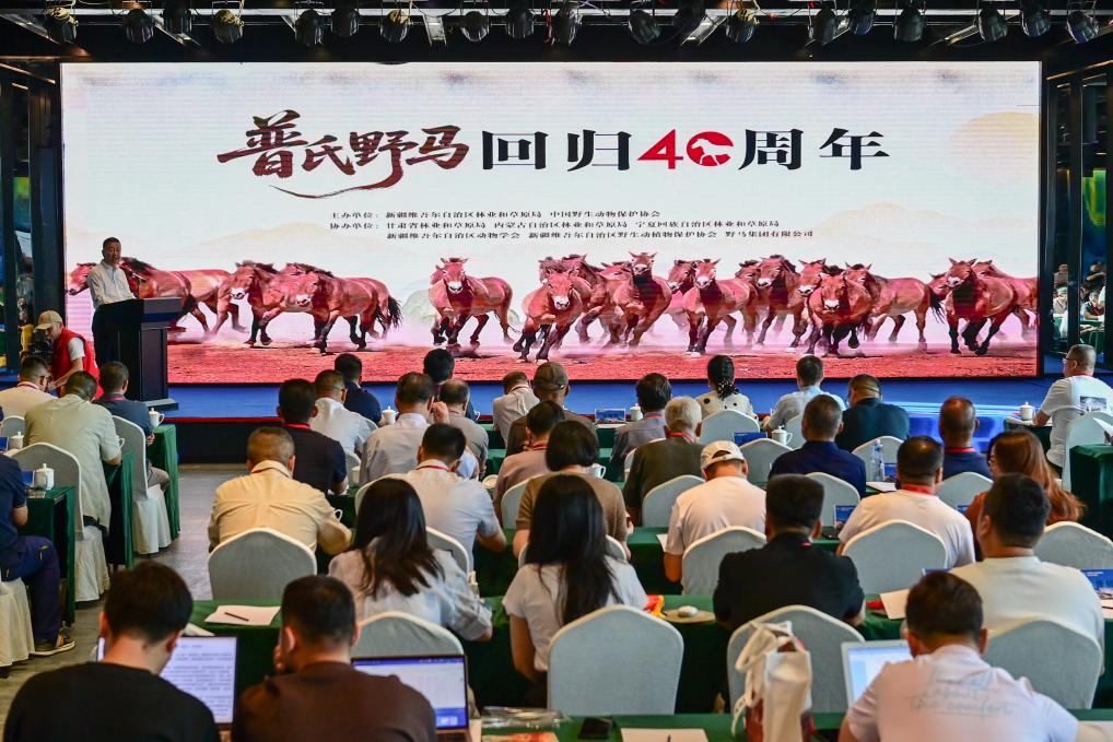 Популяция лошадей Пржевальского в Китае превысила 900 особей и составила треть от общемировой