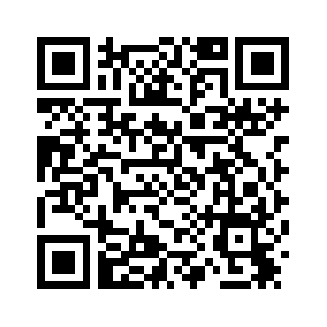 Президент Мексики осудила последние иммиграционные рейды в США