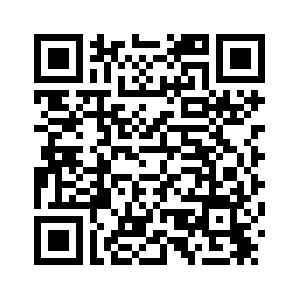 Япония должна взять обратно свои высказывания в отношении Тайваня, либо нести всю полноту ответственности за последствия -- МИД КНР /подробная версия-1/