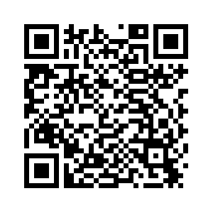 С начала 2025 г. международный сухопутный порт на севере Китая обслужил более 1 000 поездов Китай-Европа