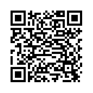 Индия признала взрыв автомобиля в Нью-Дели терактом