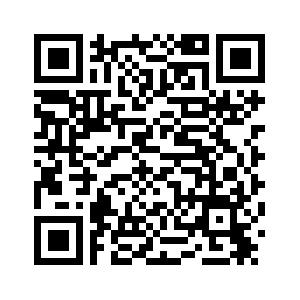 Обнаружены тела всех 20 погибших при крушении турецкого военного самолета в Грузии