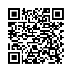 Отношения Москвы и Берлина находятся в низшей точке с момента образования ФРГ -- МИД России
