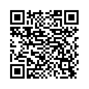 За первые 10 месяцев 2025 года розничные продажи потребительских товаров в Китае выросли на 4,3 проц.