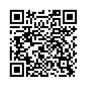 Исследовательский доклад аналитического центра Синьхуа предупреждает об углублении трещин в глобальном лидерстве