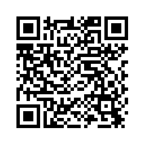 В городе Суйфэньхэ стартовал шопинг-карнавал по случаю "Дня холостяка"