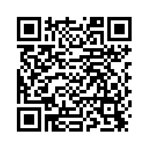 Глава Канцелярии Комиссии ЦК КПК по иностранным делам Ван И встретился с помощником президента Казахстана по международному инвестиционному и торговому сотрудничеству