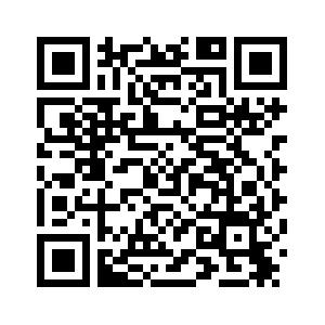 Власти Нидерландов приостановили действие распоряжения об установлении контроля над компанией Nexperia