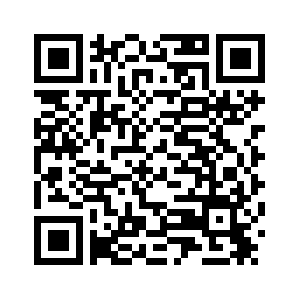 КПК и немецкая СДПГ провели второй стратегический диалог в Пекине