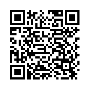 Китай и страны Центральной Азии укрепляют сотрудничество в области услуг грузовых поездов Китай-Европа