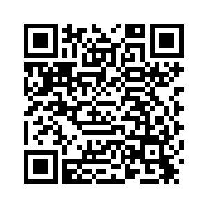 Японский премьер-министр должна помнить уроки истории -- МИД РФ